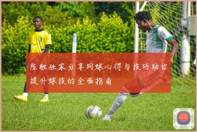 陈敏独家分享网球心得与技巧助你提升球技的全面指南